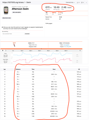 This is what the swim activity looks like after processing using GOTOES.